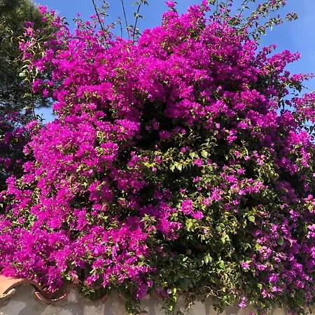 Apartament Calle San Carlos 132