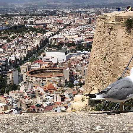 Apartament Calle San Carlos 132 Alicante