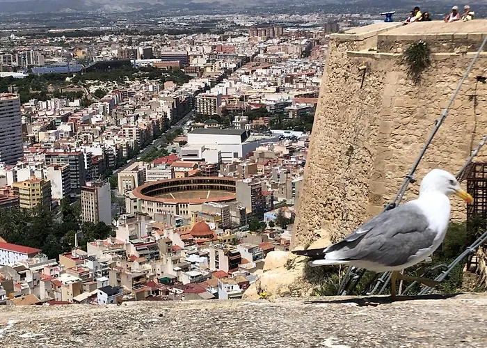 Apartament Calle San Carlos 132 Alicante